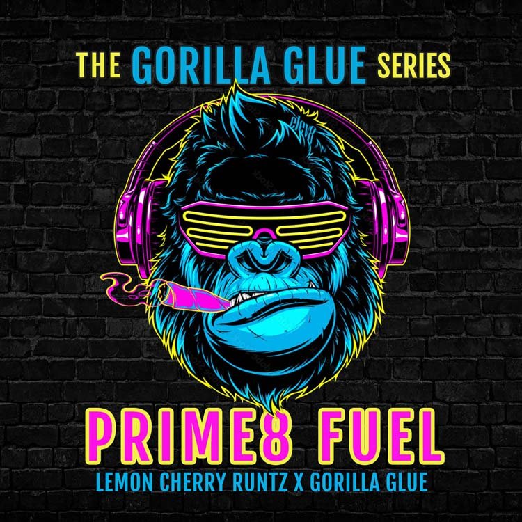 Prime8 Fuel strain * Prime8 Fuel marijuana seeds | Elev8 Seeds