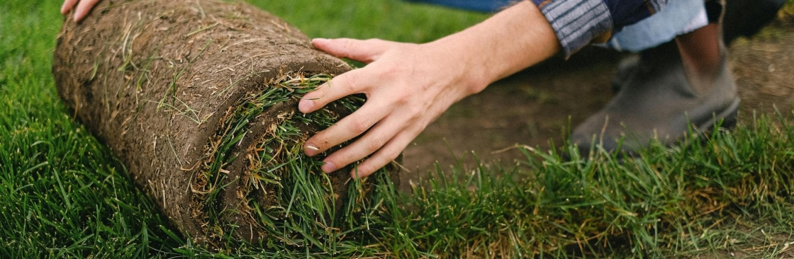 Texas Texas Sod Pros Cover Image