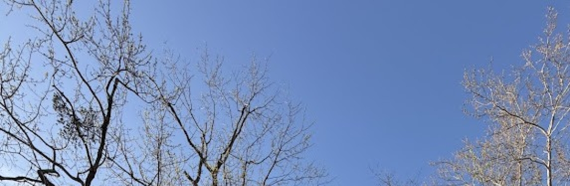 True Gen Tree Service Cover Image