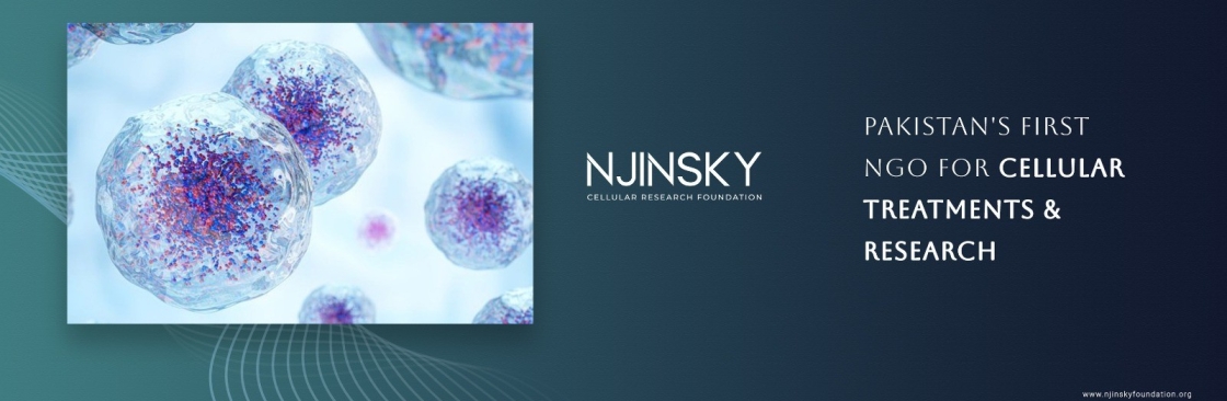 Njinsky Foundation Cover Image