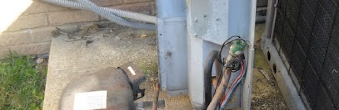 Elephant Ears Service Company Cover Image