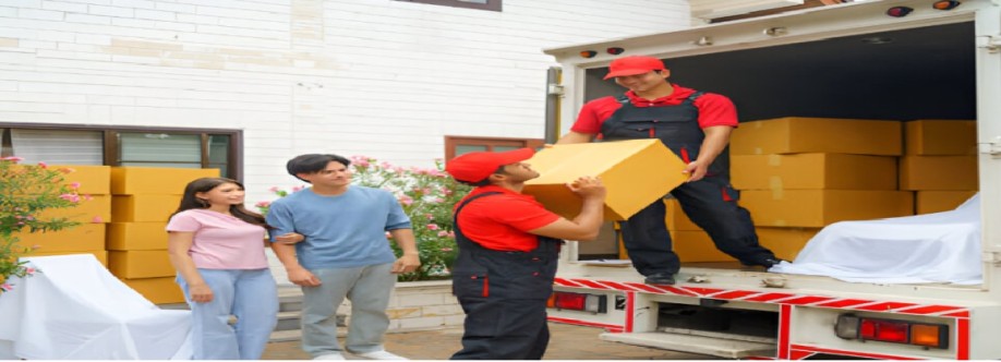 Removalist Auction Cover Image