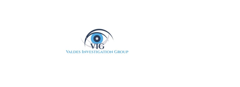 Valdes Investigation Group Cover Image