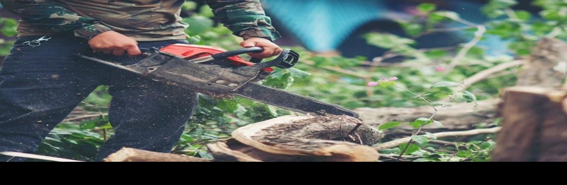 Norwich Tree Care Cover Image