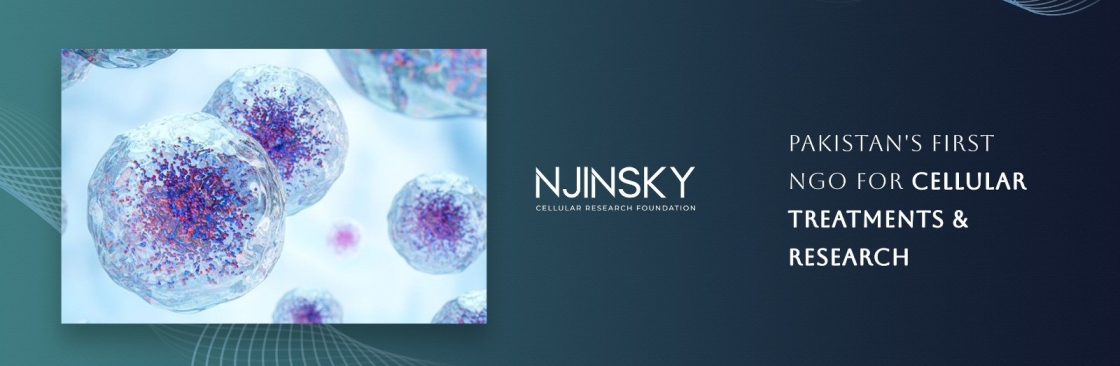 Njinsky Foundation Cover Image