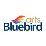 Bluebird Arts Pakistan Profile Picture