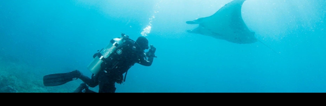 BALI FUN DIVING Cover Image