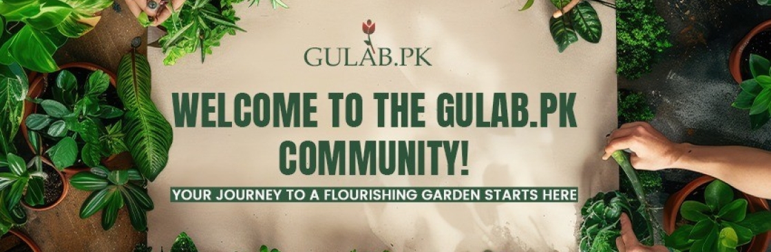Gulab Pakistan Cover Image