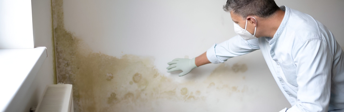 The Mould Assessors Cover Image