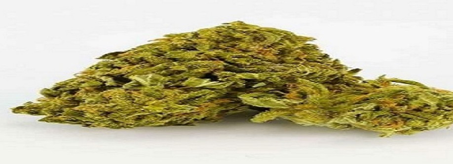 Green Therapy Cover Image