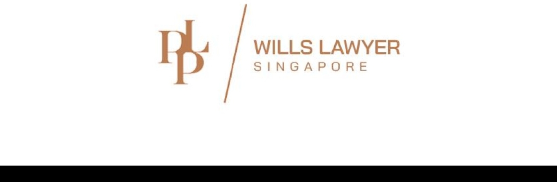 WILLS LAWYER Cover Image