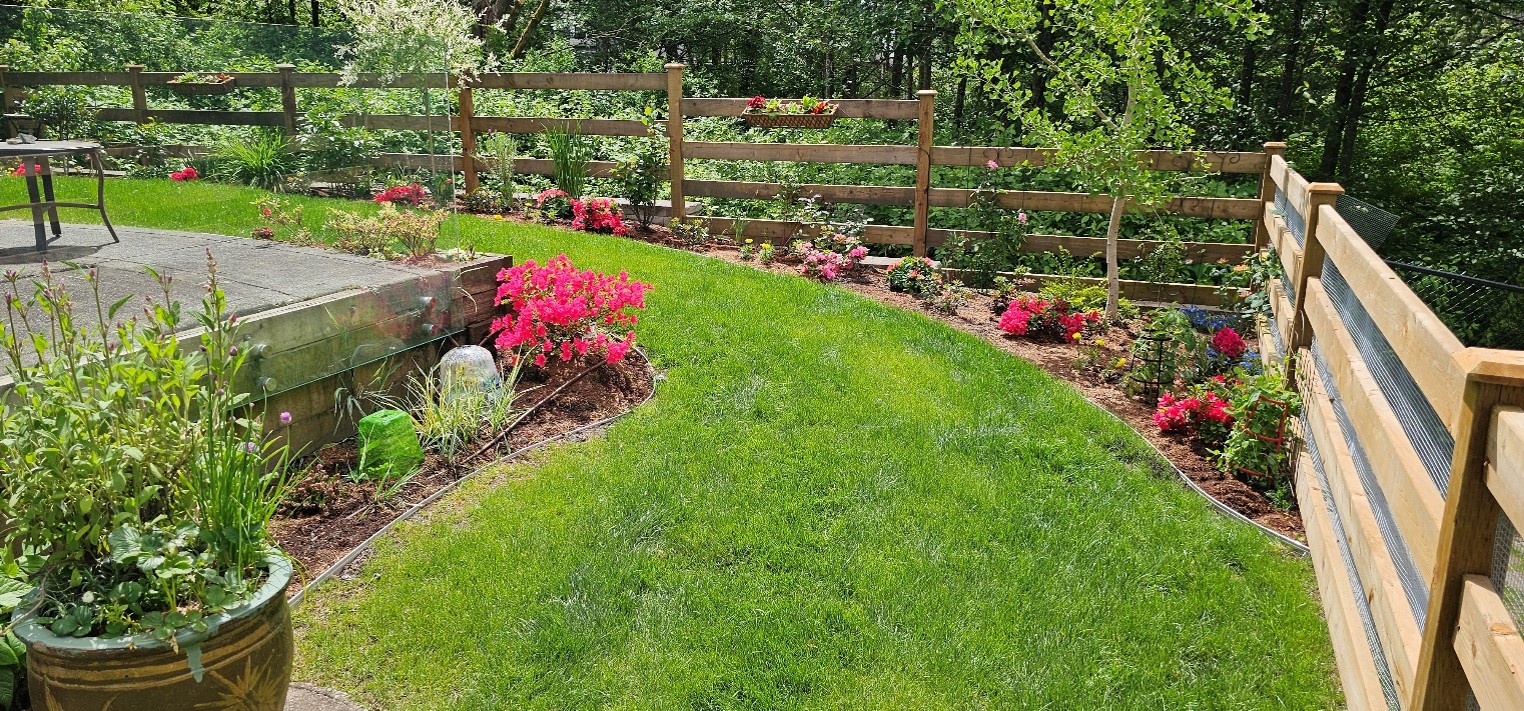 Surrey Landscapers: Top Outdoor Living Trends